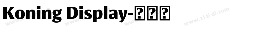 Koning Display字体转换